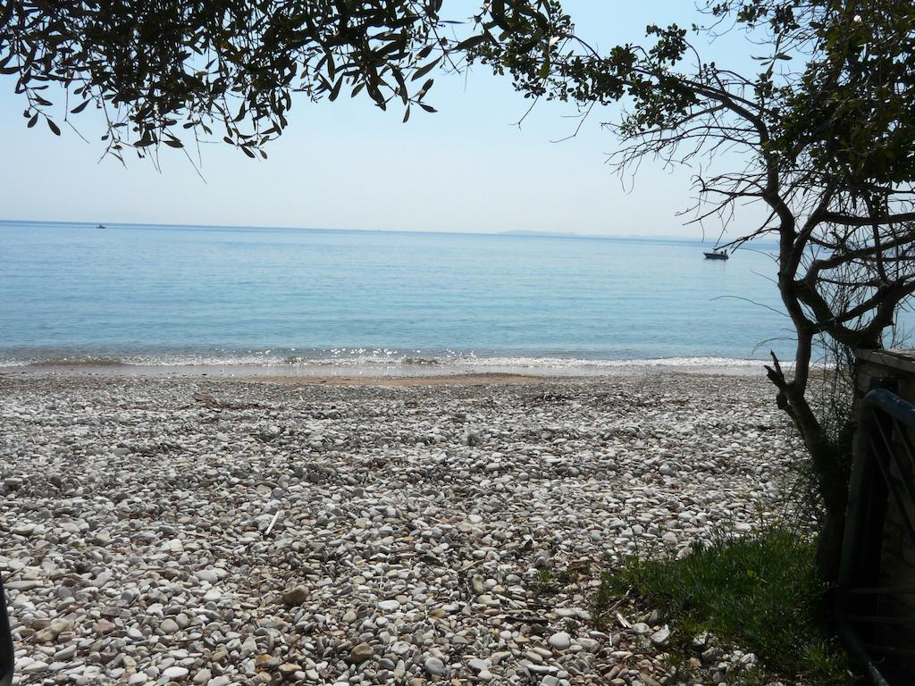 Villa Aliki Barbati