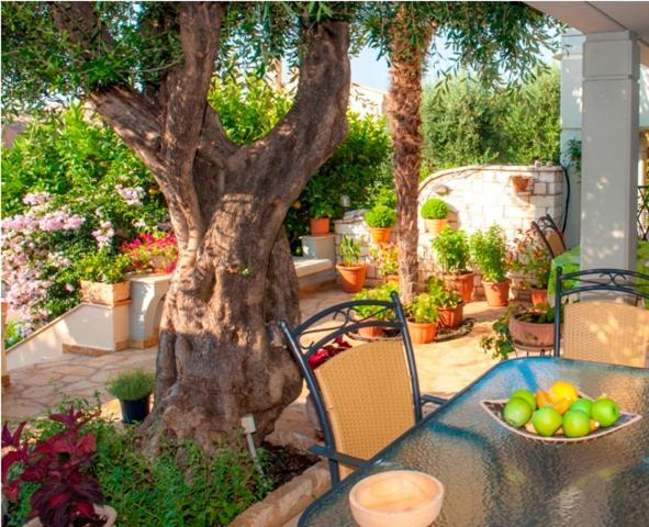 Villa Aliki Barbati
